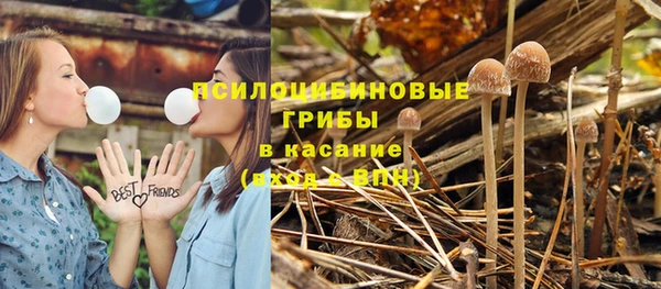 спайс Баксан