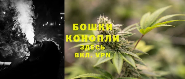 спайс Баксан