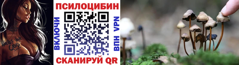 где купить наркоту  Сосенский  Псилоцибиновые грибы Psilocybine cubensis 
